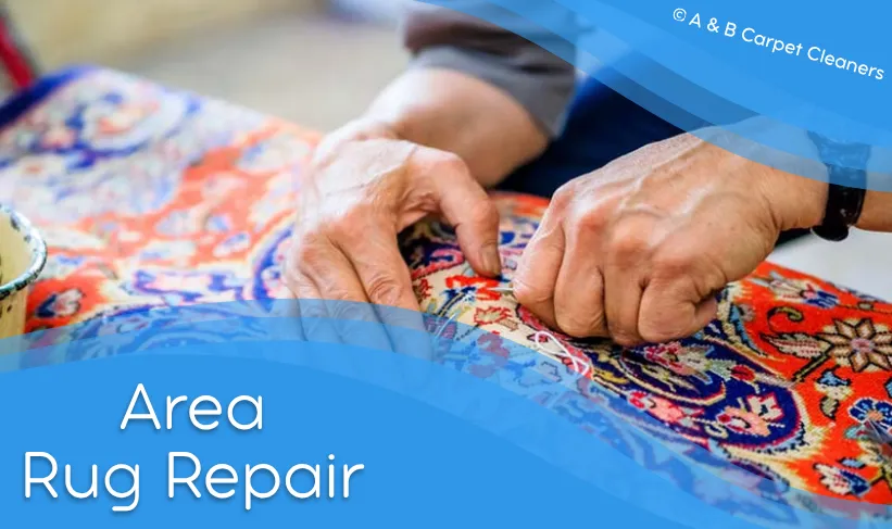 Professional Area Rug Repair Service